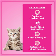 Kennel Kitchen Supreme Cuts in Gravy, Chicken Liver with Pumpkin, 100g (Pack of 12). Wet Dog Food for Adult and Puppy Kennel Kitchen Supreme Cuts in Gravy, Chicken Liver with Pumpkin, 100g (Pack of 12). Wet Dog Food for Adult and Puppy